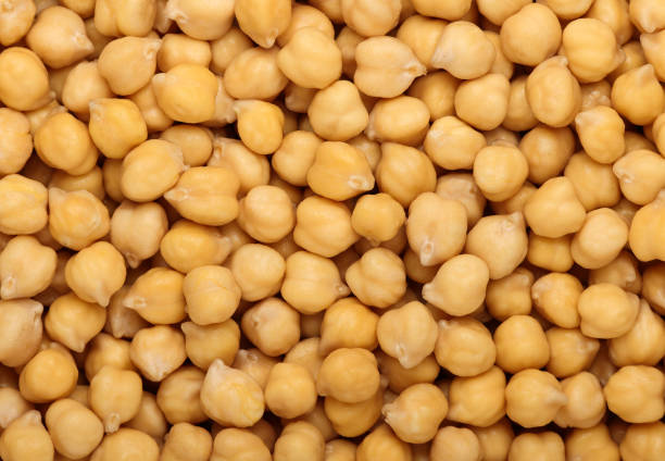 foods high in zinc