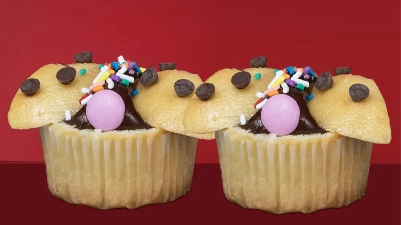 bug CUPCAKE