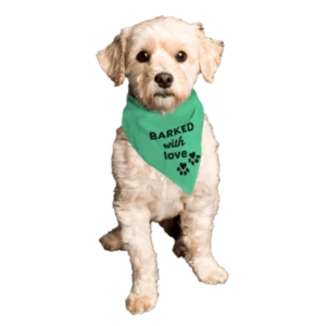 Barktivity Dog Bandana