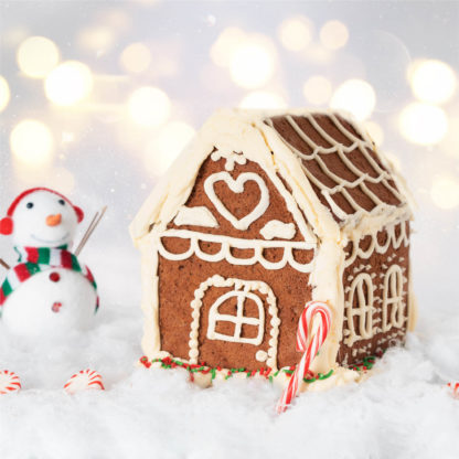 Gingerbread House Gift Box