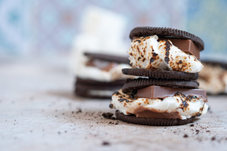 Melted dessert marshmallow smores with chocolate cookies